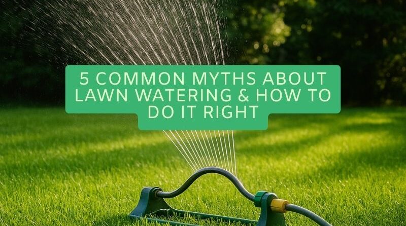 Lawn Watering