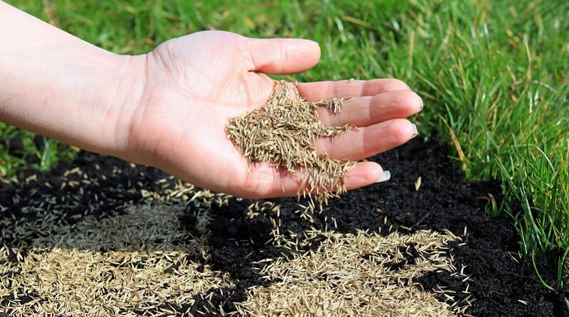 Over Seeding