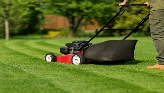 Spring Lawn Mowing