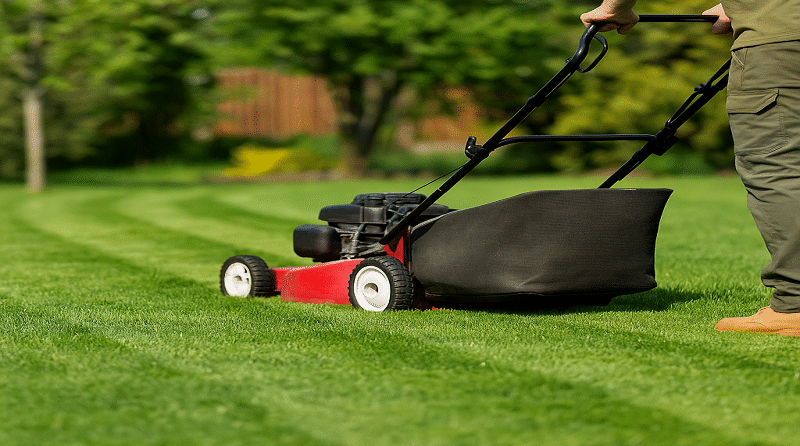 Spring Lawn Mowing