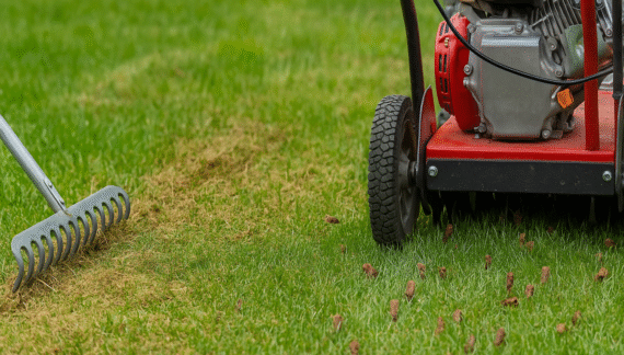 Dethatching vs. Core Aeration
