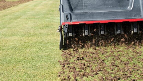 Core Aeration