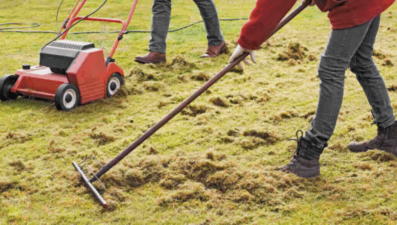 Dethatching
